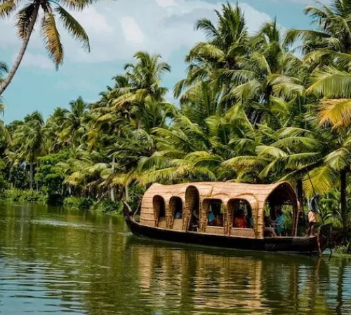 Amazing Munnar-Thekkady-Alleppey Tour